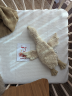 Heat cushion - Very small - Organic cotton - Beige - Senger Naturwelt