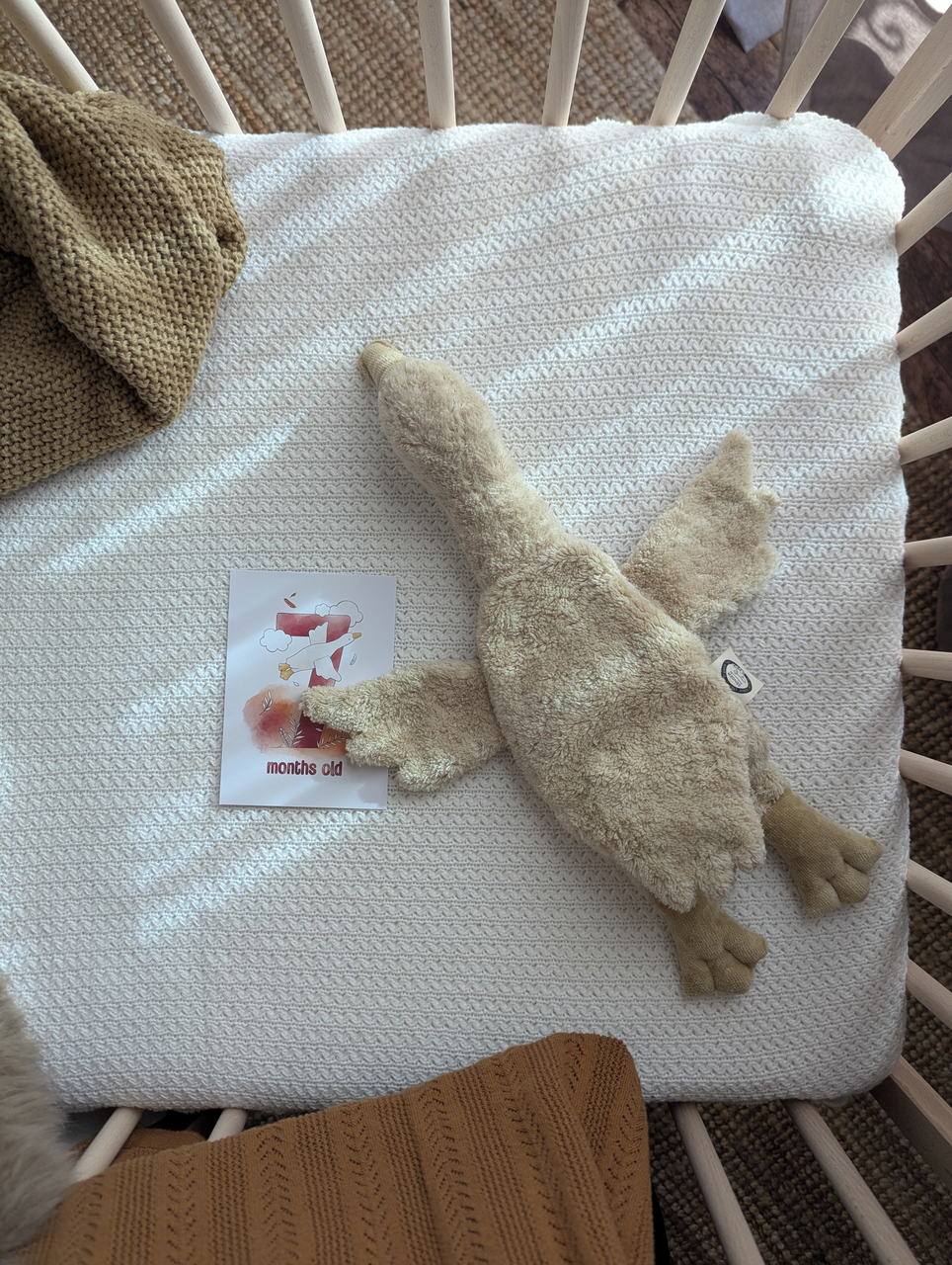 Heat cushion - Very small - Organic cotton - Beige - Senger Naturwelt