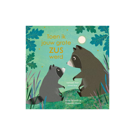 Picture Book - When I became your big sister - 3+ years - Egmont Toys
