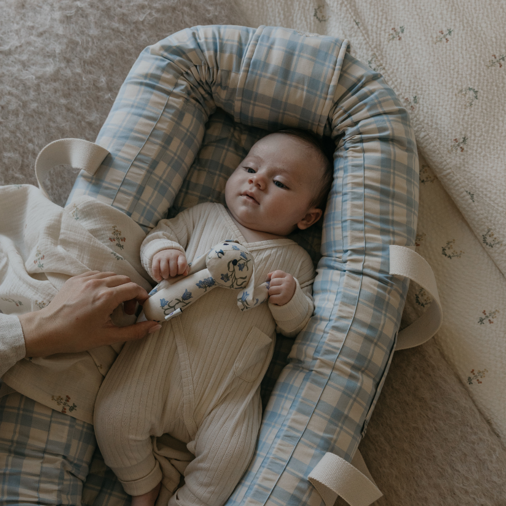 Baby Nest - Plaid Sky Blue - Baby Lift - Organic cotton - Checked/Strawberries - Garbo & Friends