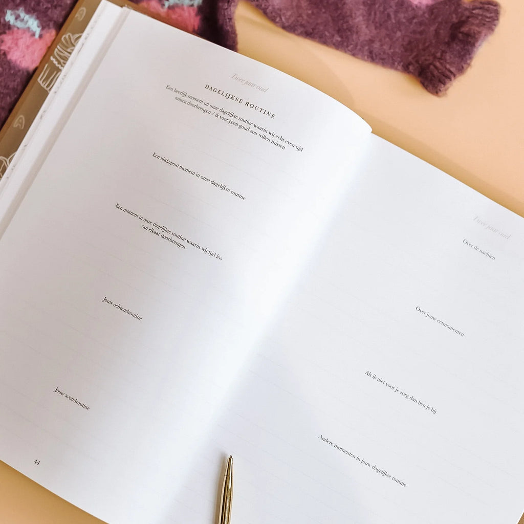Toen jij steeds groter werd – Livre souvenir d'enfance à compléter de 1 à 10 ans avec souvenirs et étapes clés – Birth Lines