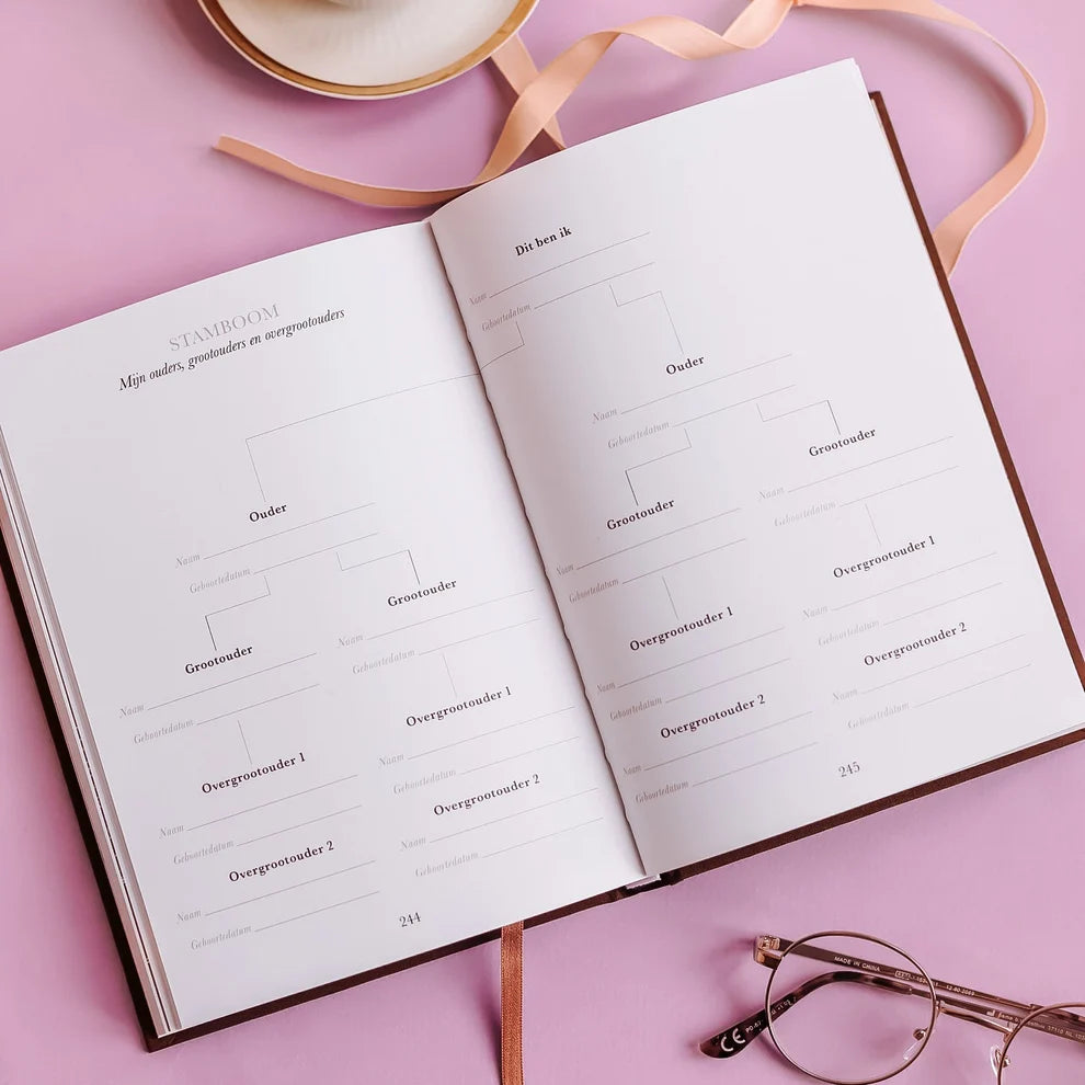 Sinds jij mijn kleinkind bent – Livre à remplir pour grands-parents avec souvenirs et leçons de vie sur 10 ans – Birth Lines